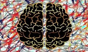 خطر نفوذ نانو مواد به کار رفته در محصولات مراقبت پوست به سد خونی مغز!