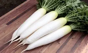 خواص شگفت‌ انگیز ترب سفید برای سلامتی