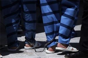 حکم زندان برای همدستان قاتل پزشک سرشناس