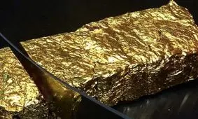 استیک با روکش طلا!/ ویدئو