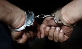 دستگیری ۱۰۱۱ سارق حرفه‌ ای