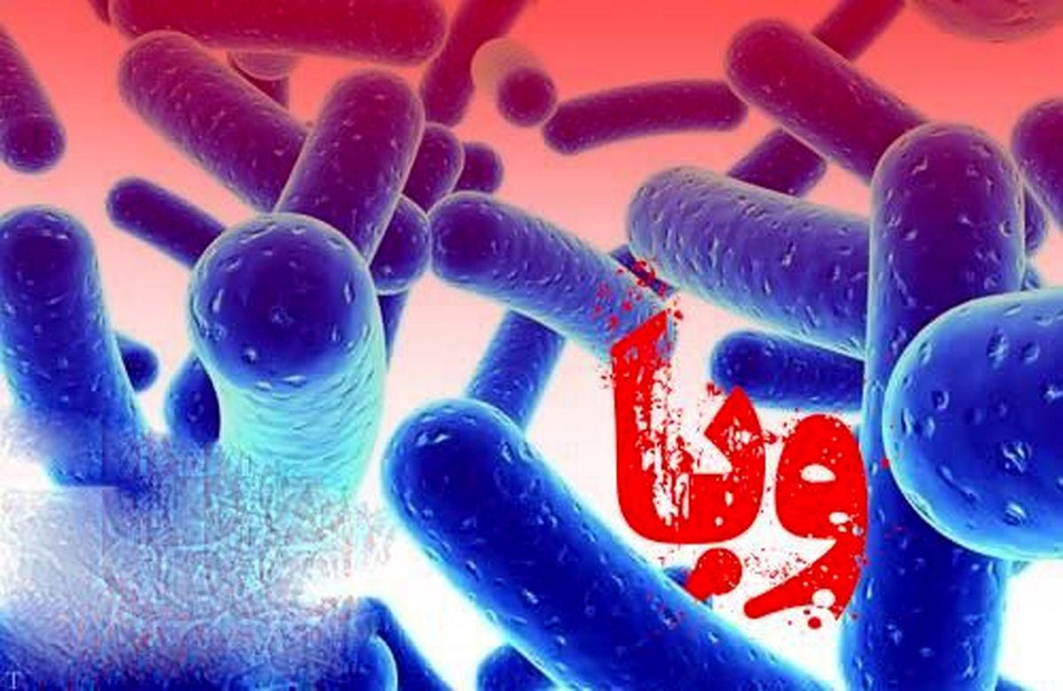 شیوع "وبا" در استان گلستان تکذیب شد