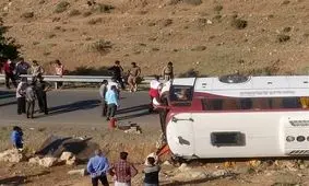 استفاده از کارتن و مقوا در لنت دروغ است