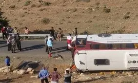 استفاده از کارتن و مقوا در لنت دروغ است
