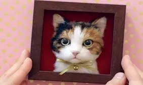 تبلیغات سه بعدی با گربه غول پیکر!/ ویدئو