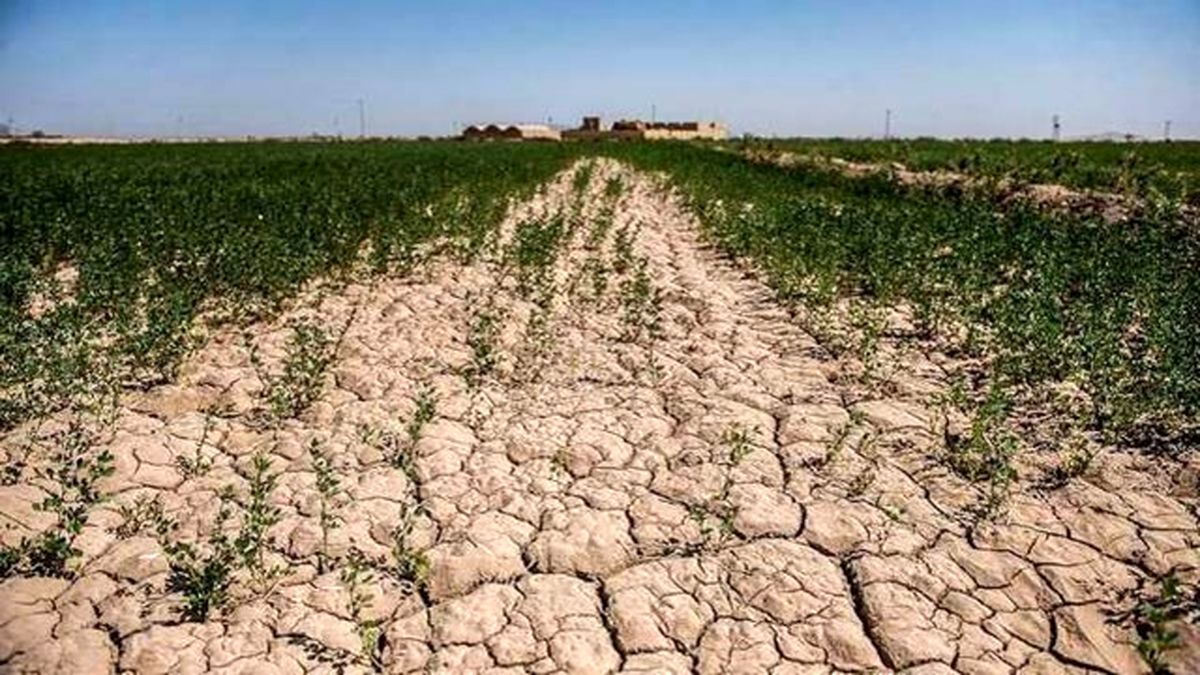 سایه سنگین خشکسالی بر قطب کشاورزی خراسان شمالی