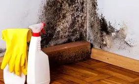 کپک ها رو هرگز با این ماده پاک نکنید