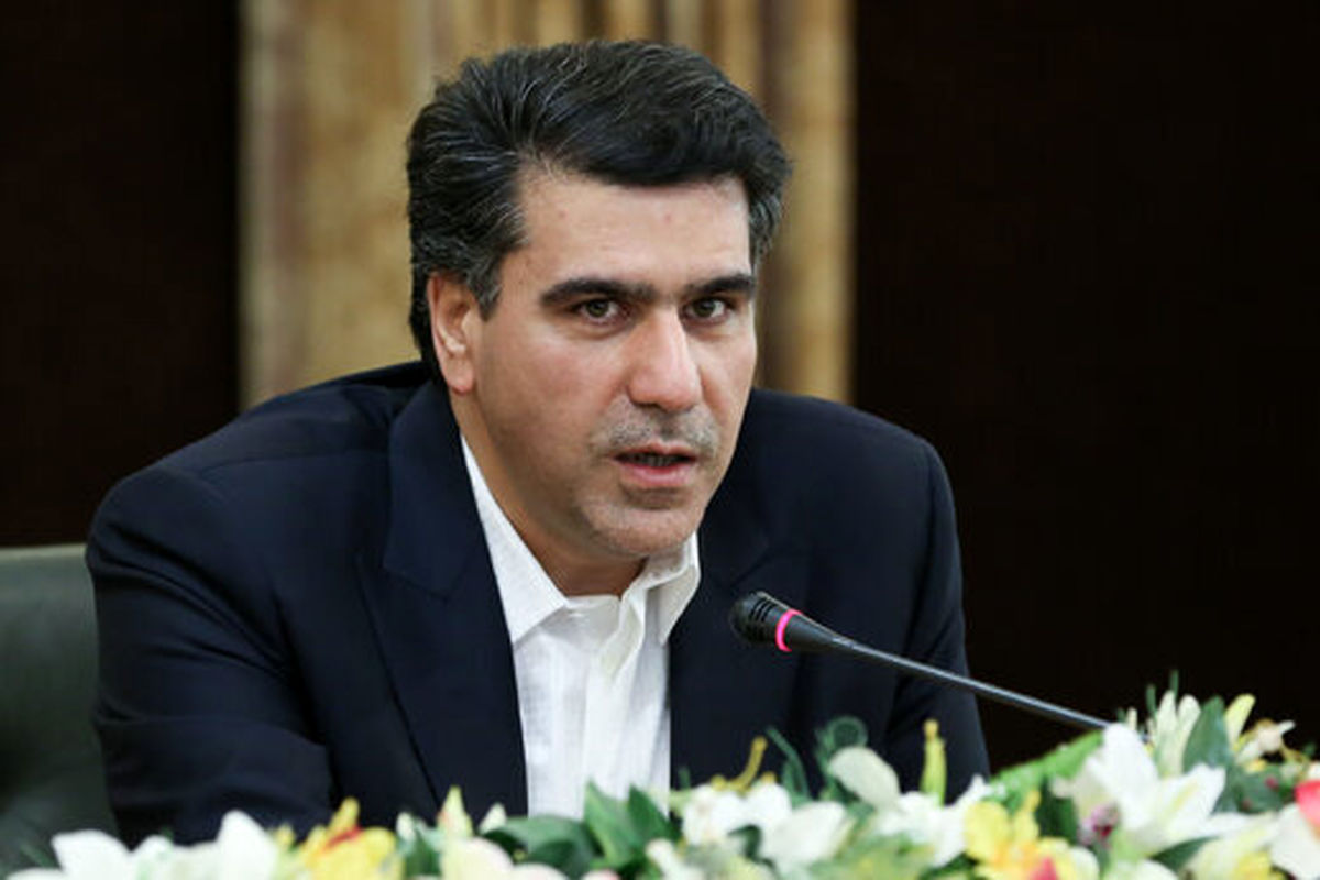 معزی: از سوزاندن سرمایهها برق تولید نخواهد شد!