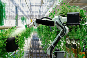 راه ‌اندازی مزرعه ‌ای که کاملا به دست ربات‌ ها اداره می‌ شود!