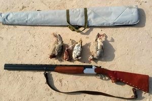 کشف ۱۰ قطعه پرنده از متخلفین شکار در مناطق آزاد شهرستان بویراحمد