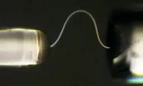 دانشمندان یخ انعطاف‌ پذیر تولید کردند!