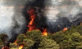 آتش سوزی ارتفاعات نارک گچساران/ به روایت تصاویر