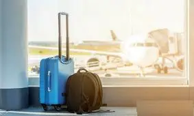 عجیب‌ ترین اشیایی که مسافران قاچاق کردند/ تصاویر