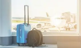 عجیب‌ ترین اشیایی که مسافران قاچاق کردند/ تصاویر