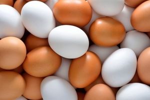 هشداری مهم درباره نحوه نگهداری تخم مرغ در یخچال