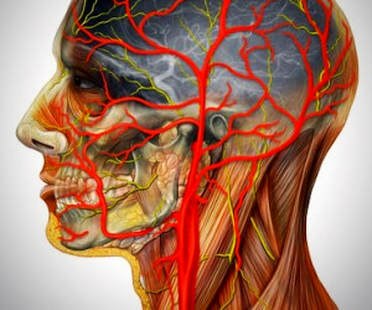طول رگ های بدن انسان چقدر است؟