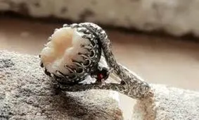 زیورآلات ساخته شده از دندان‌ های مردگان/ تصاویر