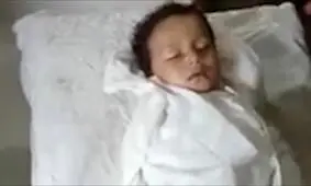 حمله مرگبار گوسفند شاخدار به کودک/ ویدئو