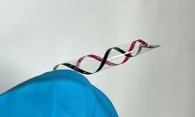 تولید نوع جدیدی از زیست پلاستیک‌ ها