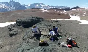 کشف فسیل پدربزرگ تمساح های امروزی!/ عکس