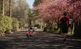 یک ربات دوپا ۵ کیلومتر دوید