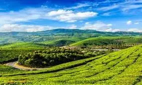 حادثه ای وحشتناک از خشم طبیعت در هند/ ویدئو