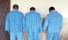 ۳ سارق حرفه ای در نقده دستگیر شدند