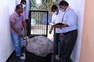 کشف یاقوت کبود ۵۱۰ کیلویی در حیاط خانه مرد سریلانکایی