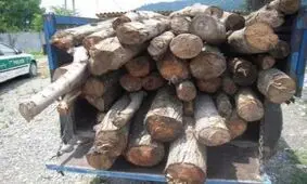 توقیف خودروی حامل هیزم قاچاق در گچساران