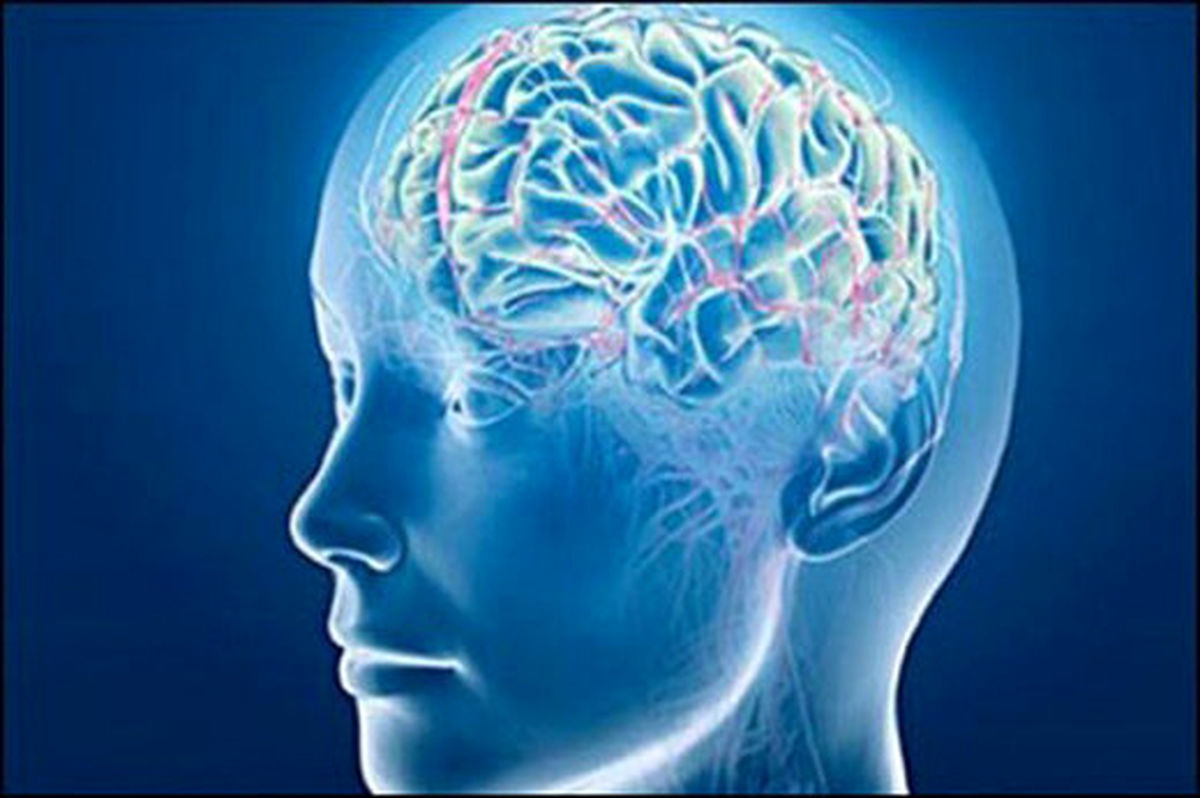 این کارها آلزایمر را ۵ سال به تعویق میاندازد