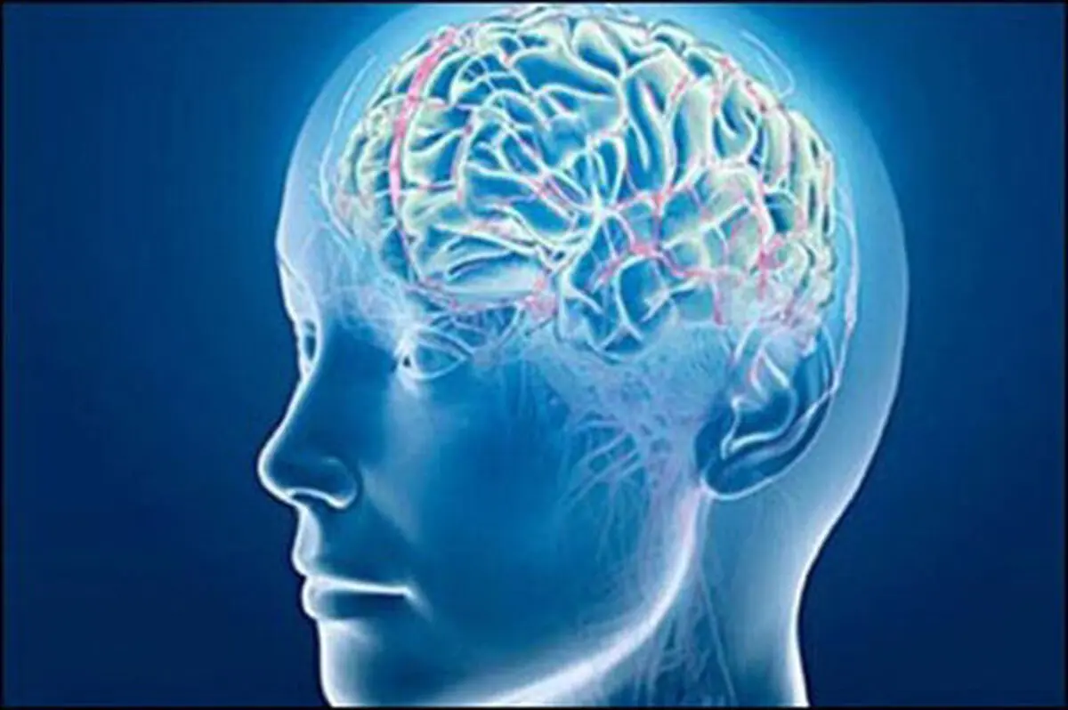 این کارها آلزایمر را ۵ سال به تعویق می‌اندازد