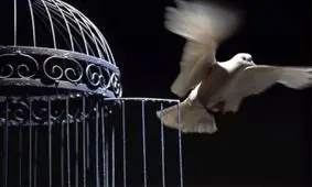 داستان کوتاه قفس صادق چوبک