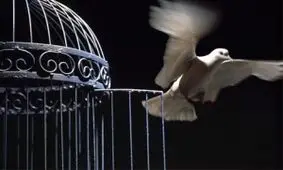داستان کوتاه قفس صادق چوبک