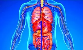 ۲۰ نشانه کم آبی بدن که بسیاری آن را نادیده می‌گیرند