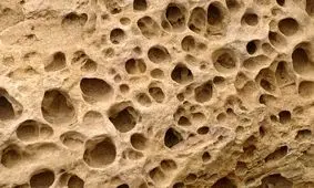 فسیل‌های مرموز کشف شده می‌توانند قدیمی‌ترین نشانه‌های حیوانات در زمین باشند