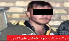 پایان زورگیری «خفاش های کله زرد » !