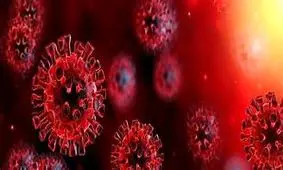 روز بدون فوتی کرونایی دیگری در کرمانشاه رقم خورد