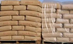 صادرات سیمان هیچ ربطی به گرانی قیمت ندارد/ مگر موادش از خارج وارد می شود که سوبسید می خواهند؟