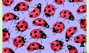 چند معمای تصویری برای آنهایی که توجه و دقت زیادی دارند