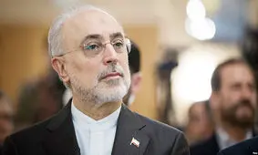صالحی: سازمان انرژی اتمی حداکثر هوشمندی لازم را در مذاکرات و در متن برجام به خرج داد
