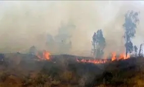 آتش در کوه پهن گچساران دوباره شعله ور شد / اعزام نیروهای امدادی به منطقه