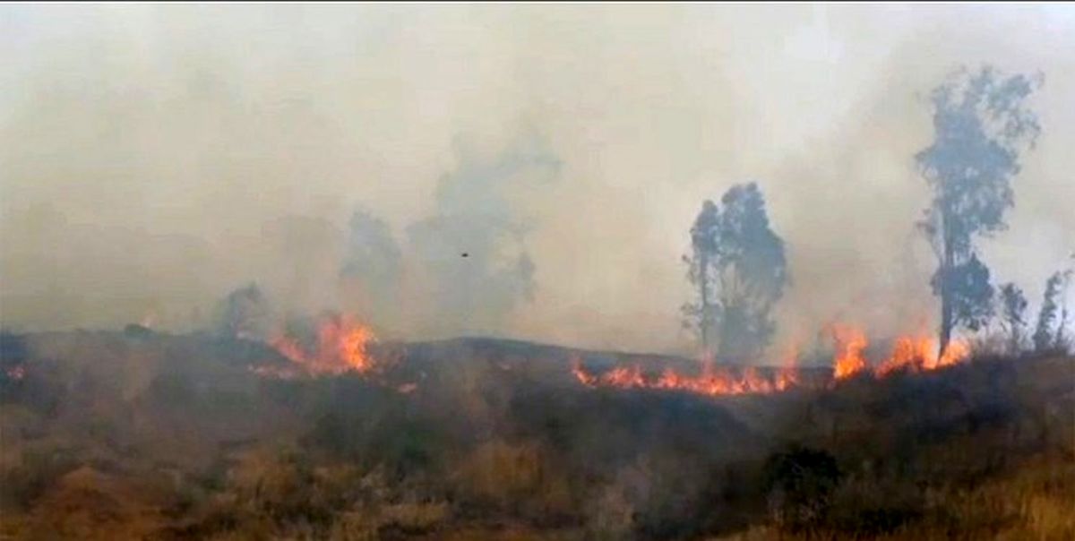 آتش در کوه پهن گچساران دوباره شعله ور شد / اعزام نیروهای امدادی به منطقه