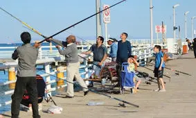 ماهیگیری در کیش