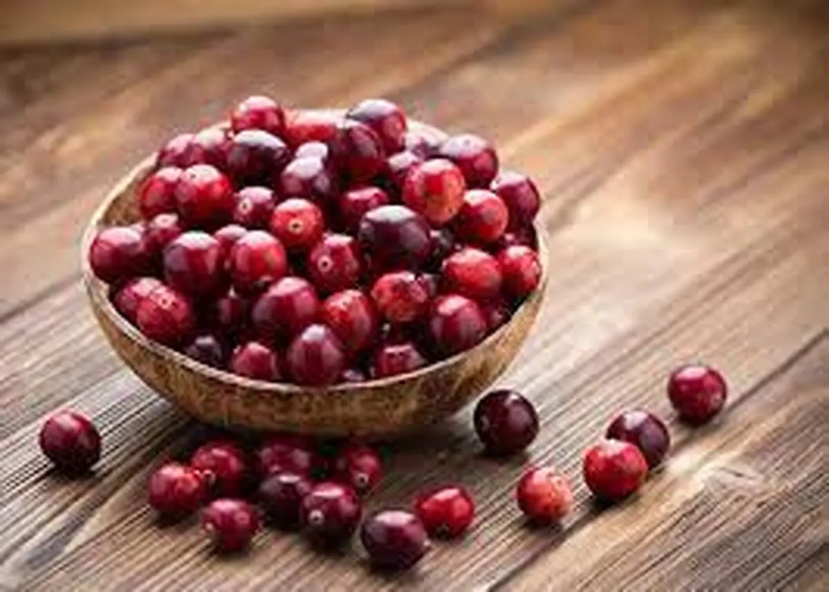 قره قاط چیست و چه خواصی دارد؟