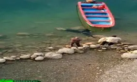 غرق شدن دو برادر در دریاچه سد عباسپور خوزستان