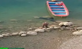 غرق شدن دو برادر در دریاچه سد عباسپور خوزستان