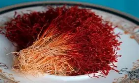 «پالایشگاه زعفران» در استان خراسان‌‌رضوی راه‌اندازی می‌شود