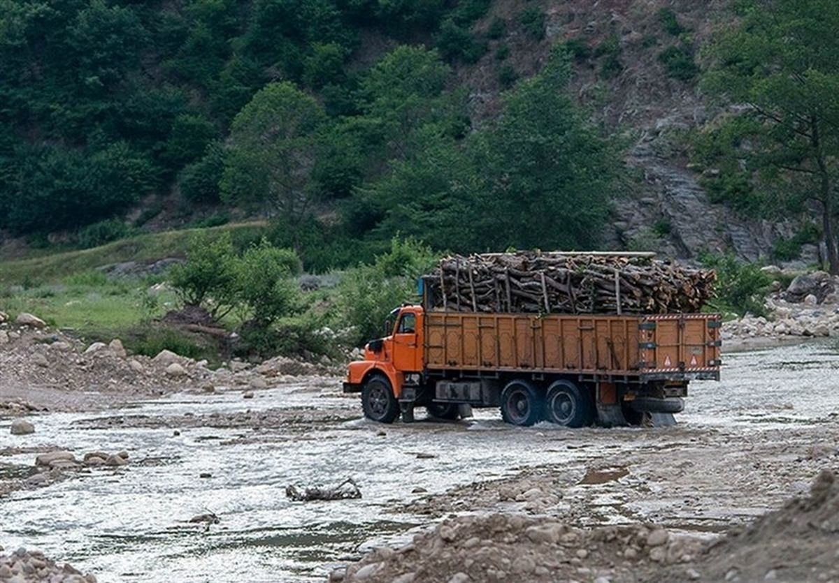 قاچاقچیان چوب از شرایط سیلاب در استان مازندران سوء استفاده می کنند+ تصویر