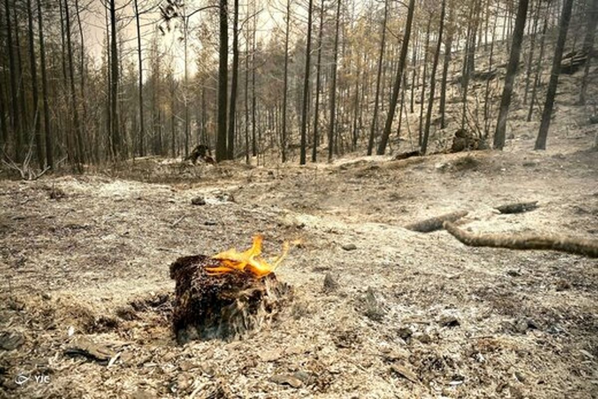مهار آتش‌ در جنگل های شهرستان فیروزآباد/ ۳ نفر جان خود را از دست دادند