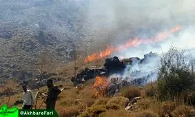 آتش‌سوزی در ارتفاعات شهرستان راین کرمان